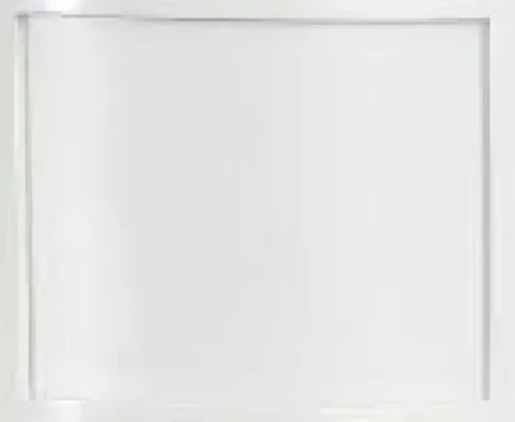 DSC BV-L1 DSC BV-L1