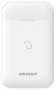 HIKVISION DS-PT1-WE
