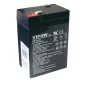 Sealed lead acid battery 6V 4.5Ah VIPOW BAT0200
