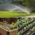 SMART GARDEN 55399 okos öntözőrendszer SMART GARDEN 55399 okos öntözőrendszer