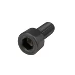 Allen screw M8x25 A2 black Allen screw M8x25 A2 black