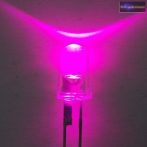 5mm rózsaszín LED.