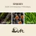Fa illat autóba DUFT Spinney - természetes diffúzor fogantyúval Fa illat autóba DUFT Spinney - természetes diffúzor fogantyúval