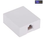 Fali doboz 8P8C Fali doboz 8P8C